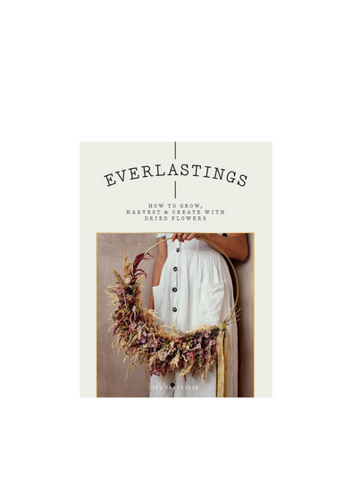 Everlastings: Dried Flowers