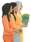 Plantfulness Cards
