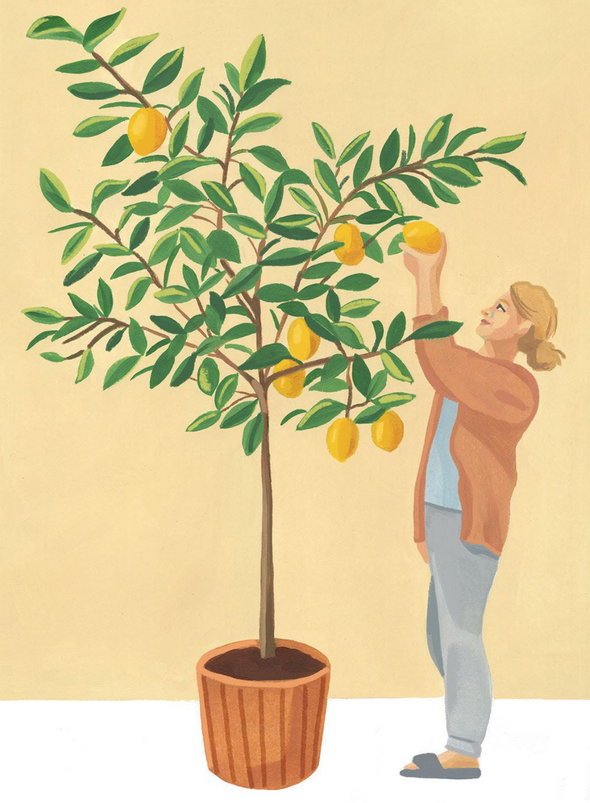 Plantfulness Cards