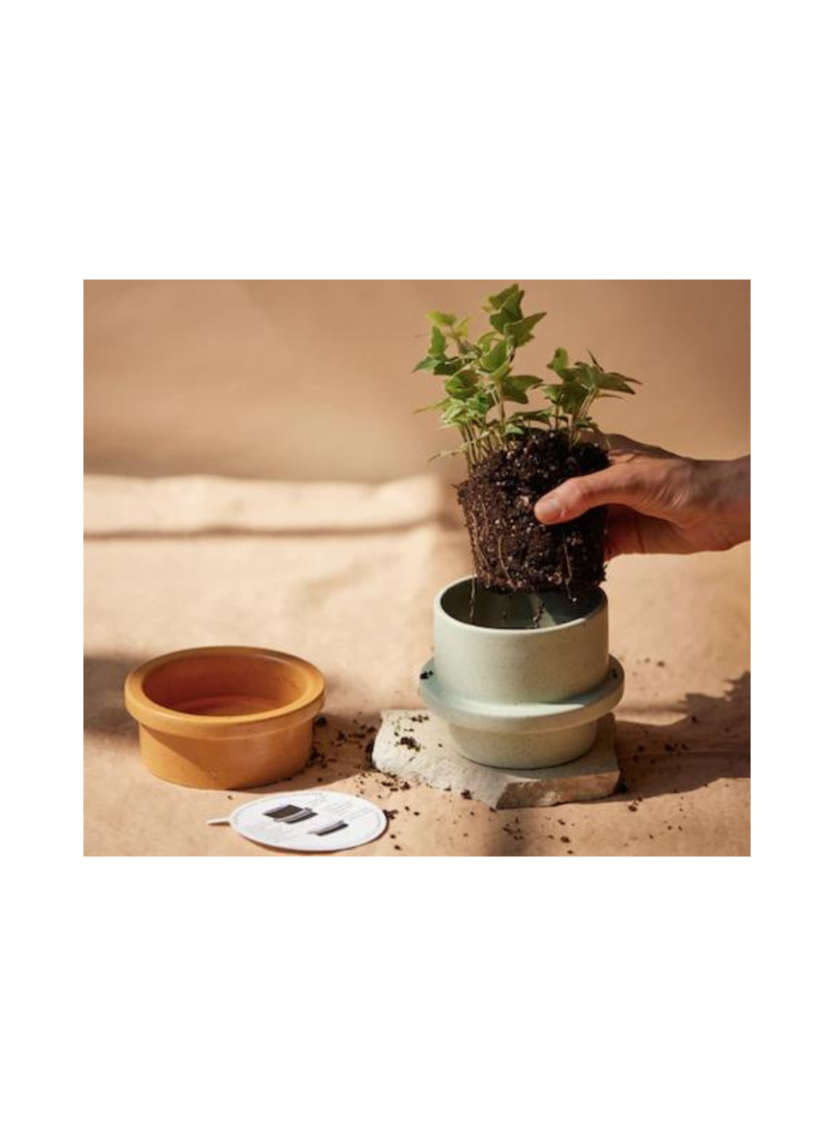 Folia Matte Speckled Ceramic Candle in Bamboo & Green Tea from Paddywax