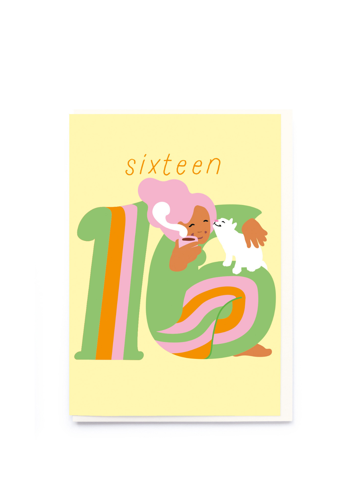 Age 16 Cat Birthday Card from Noi