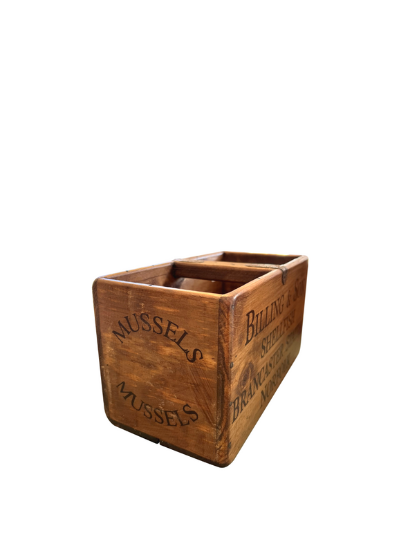 Medium Fish Box