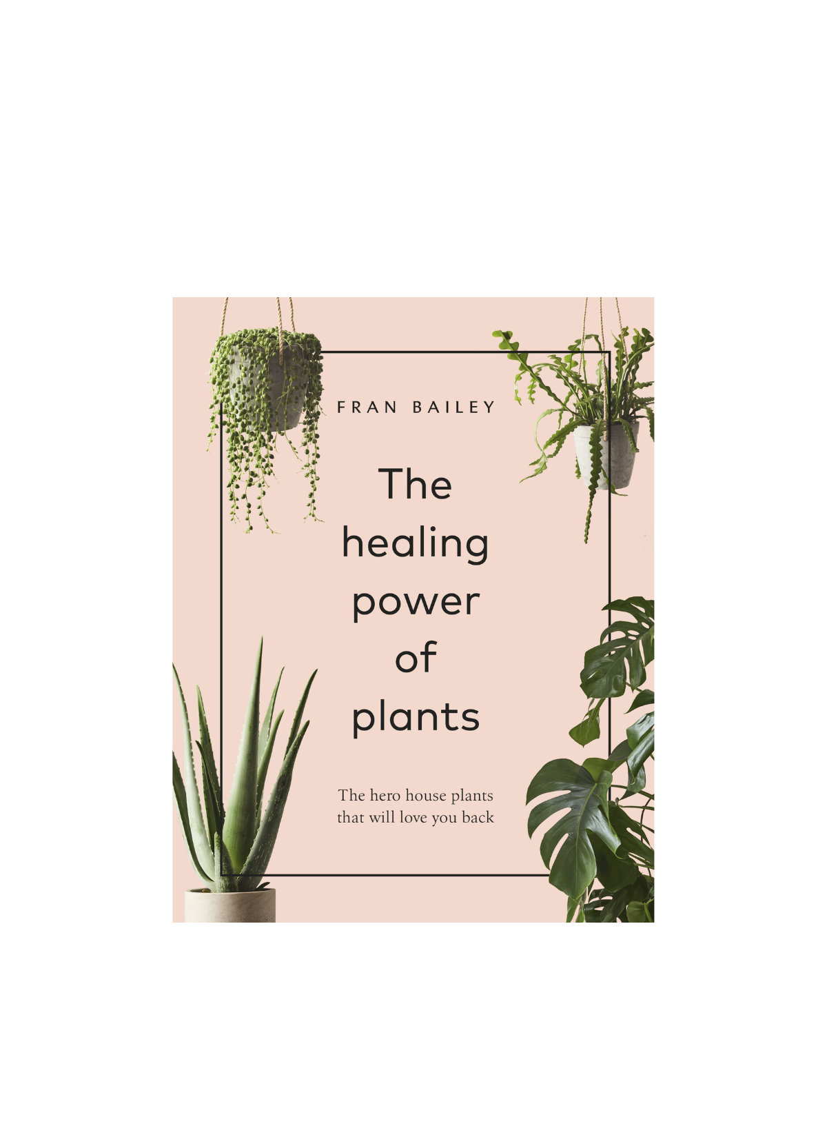 The Healing Power Of Plants