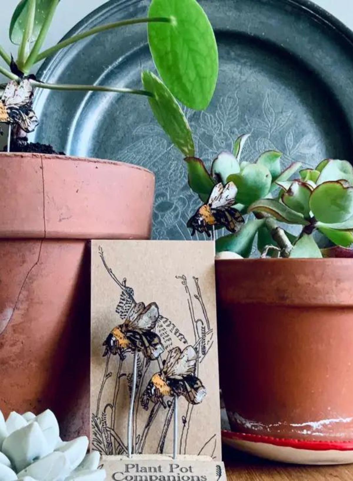 Bee Plant Pot Companions from Lily Faith