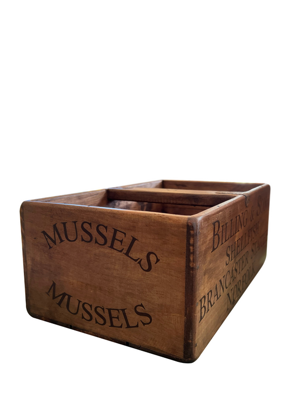 Large Fish Box