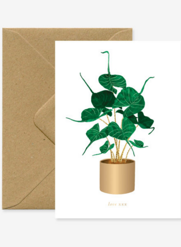 Alocasia Stingray Plant Card from All The Ways to Say