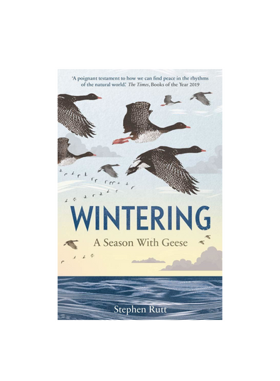Wintering: A Season with Geese