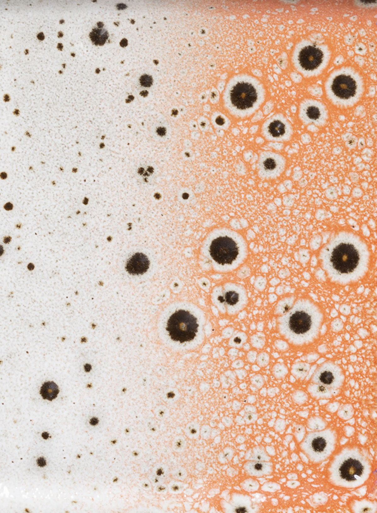 Small Tray Asteroids from HK Living