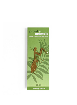 Plant Animal - Praying Mantis