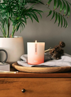 Eternal Optimist Scented Candle - Neroli Blossom Jasmin & Sandalwood from Aery Living