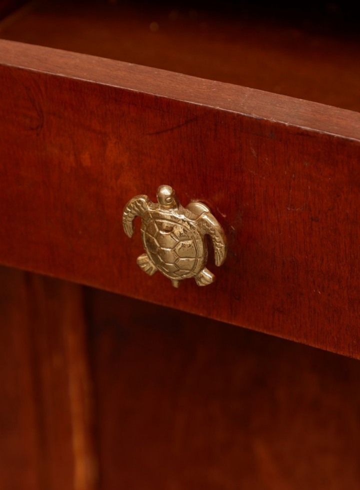 Tommy Turtle Knob from Doing Goods