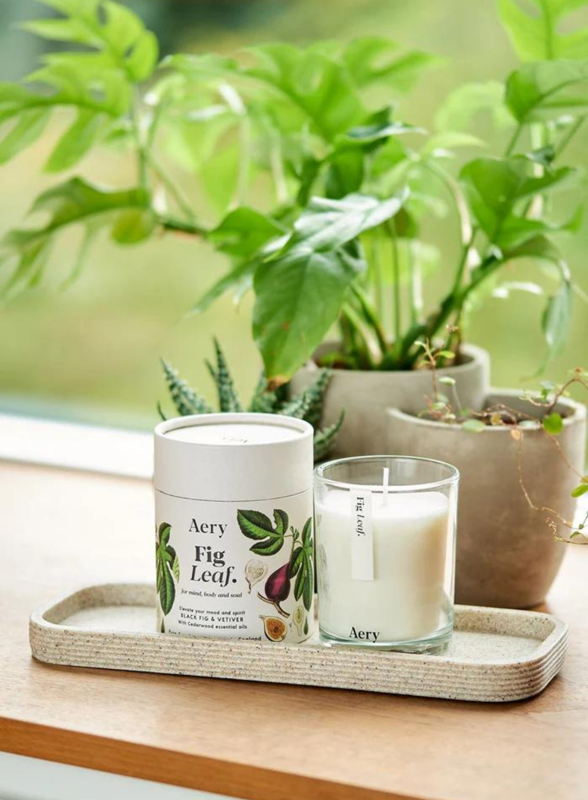 Aery Living Fig Leaf Scented Candle - Black Fig, Vetiver & Cedarwood