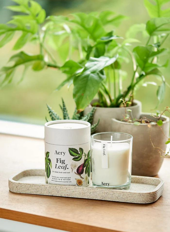 Fig Leaf Scented Candle - Black Fig, Vetiver & Cedarwood from Aery Living