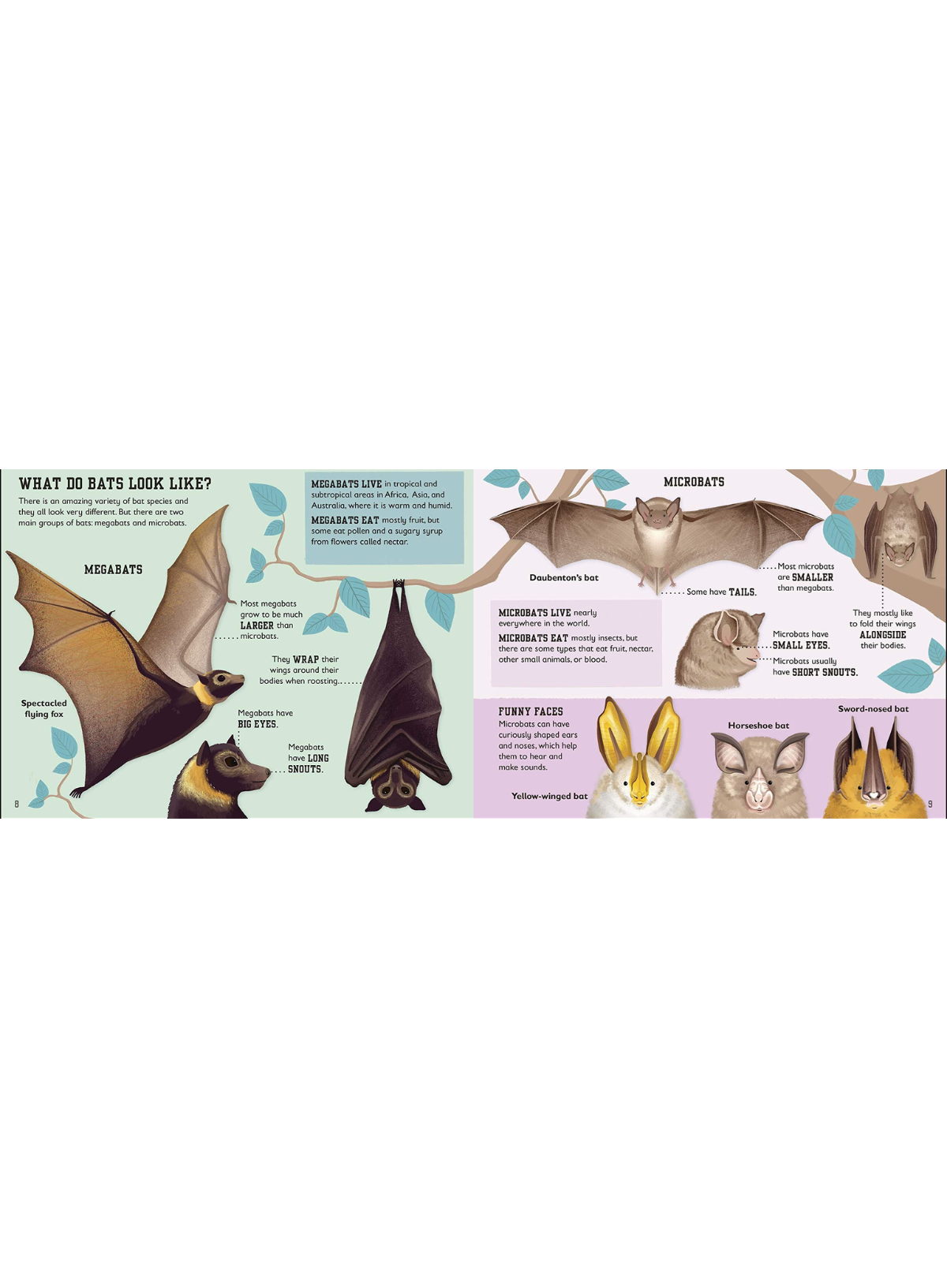 The Bat Book