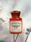Apothecary Chamomile & Fig Candle from Paddywax