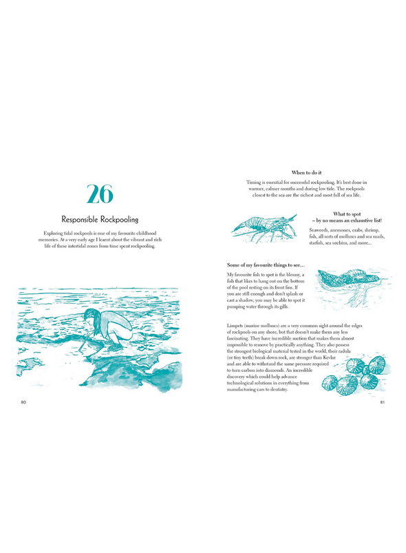 50 Things To Do By The Sea