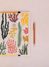 Seaweed Notebook + Folder (A5) from Studio Wald