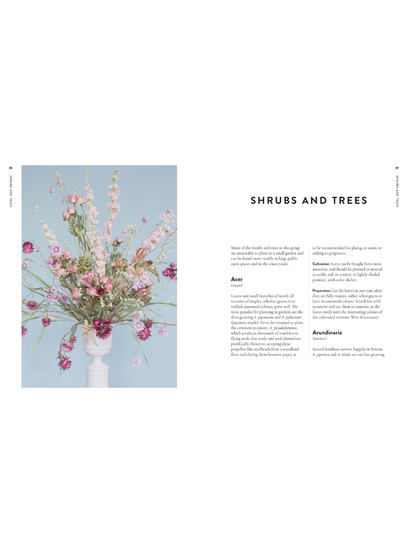 Forever Flowers: Growing and Arranging Dried Flowers