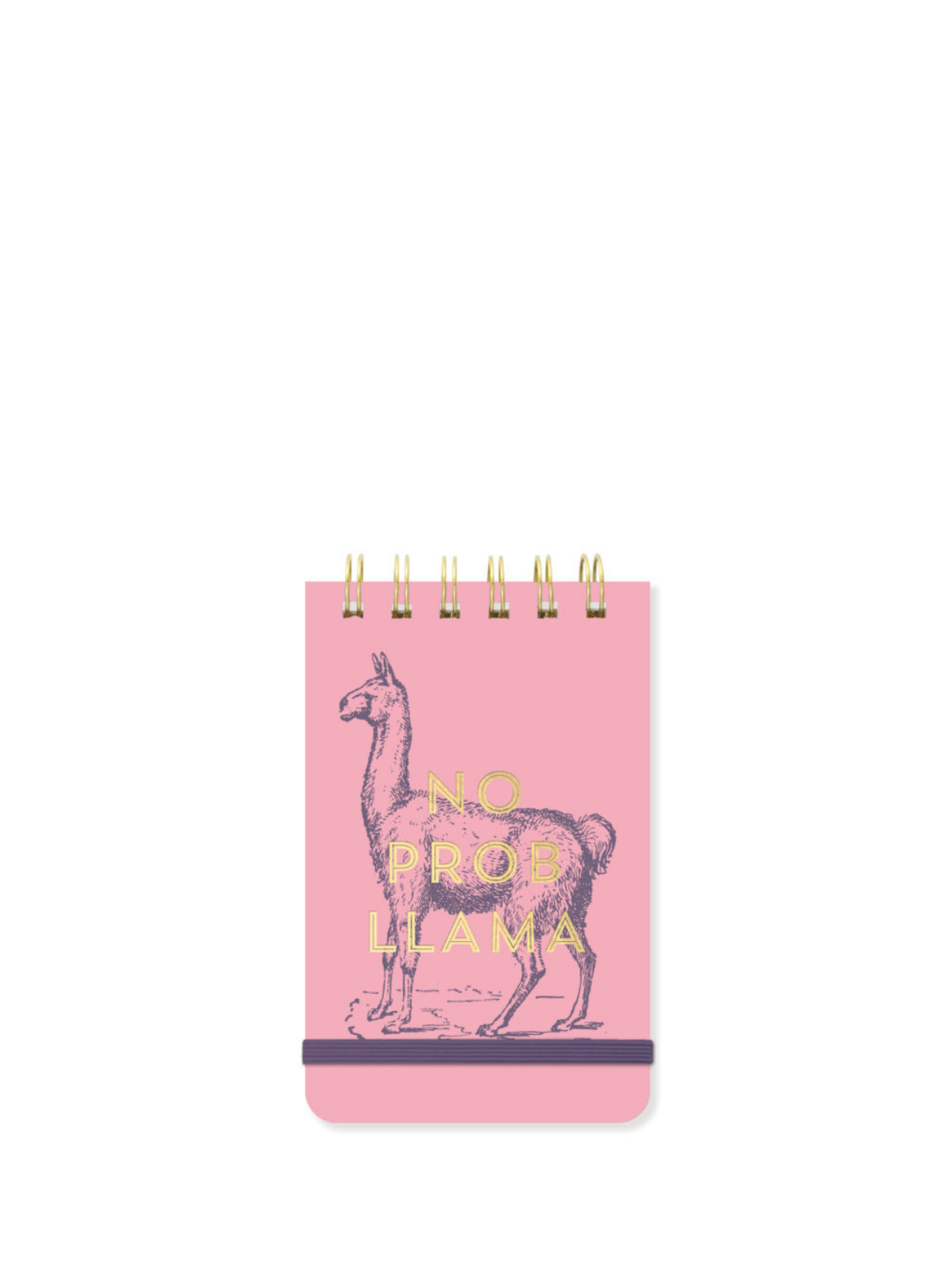 Vintage Sass No Prob Llama Twin Wire Notepad from Designworks ink.