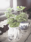 Apothecary Geranium and Basil Candle from Paddywax