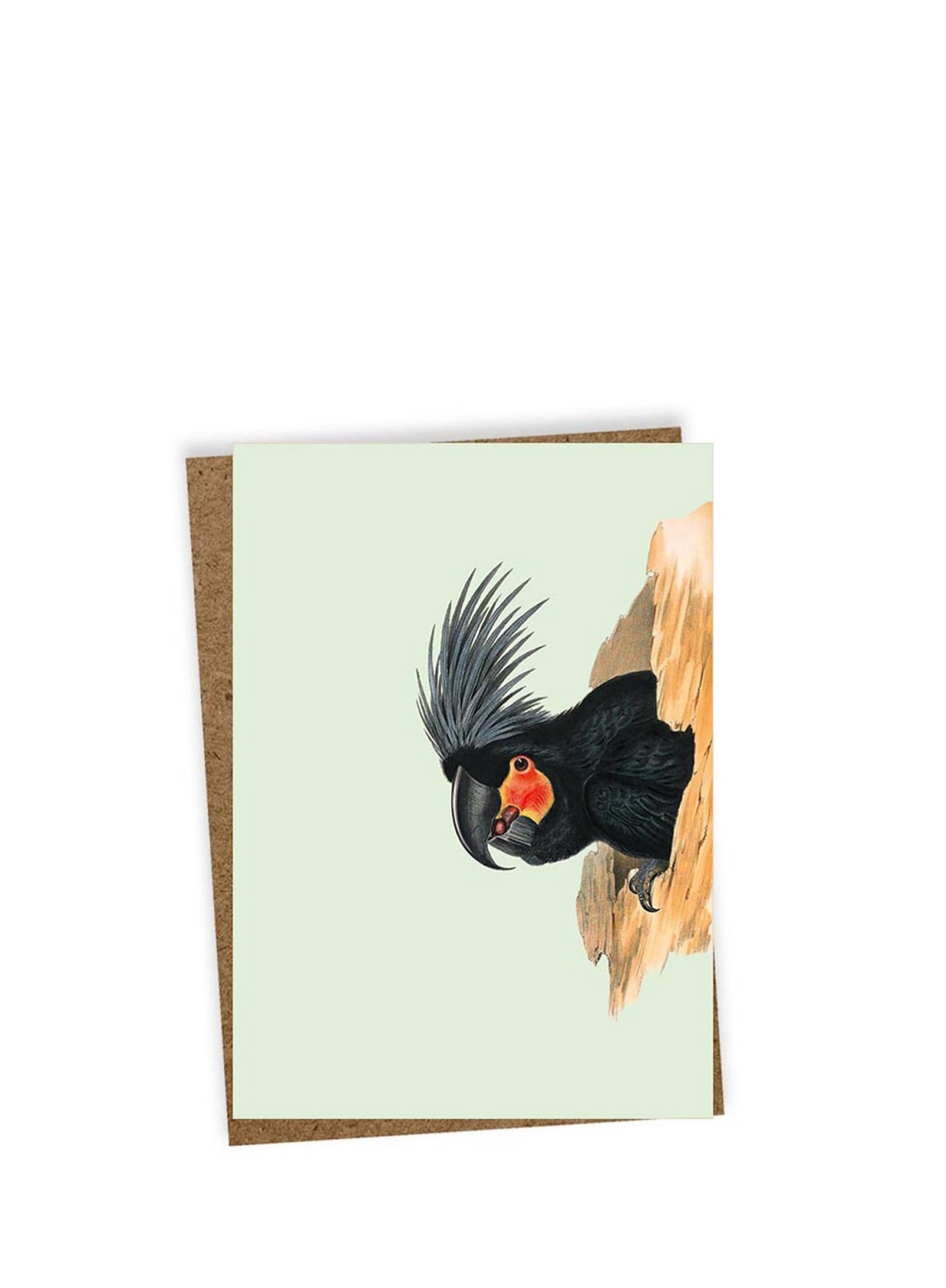 30x40 Get Free Mini Card