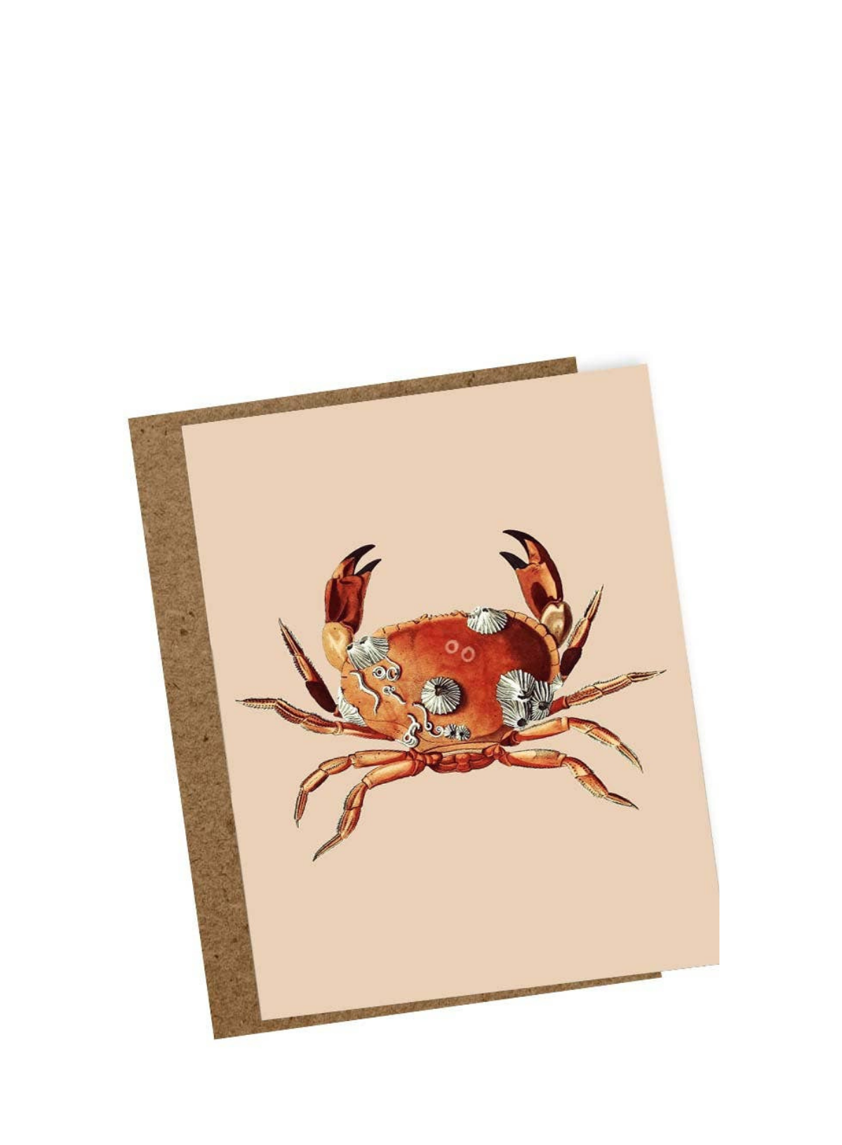 30x40 Holiday Mini Card