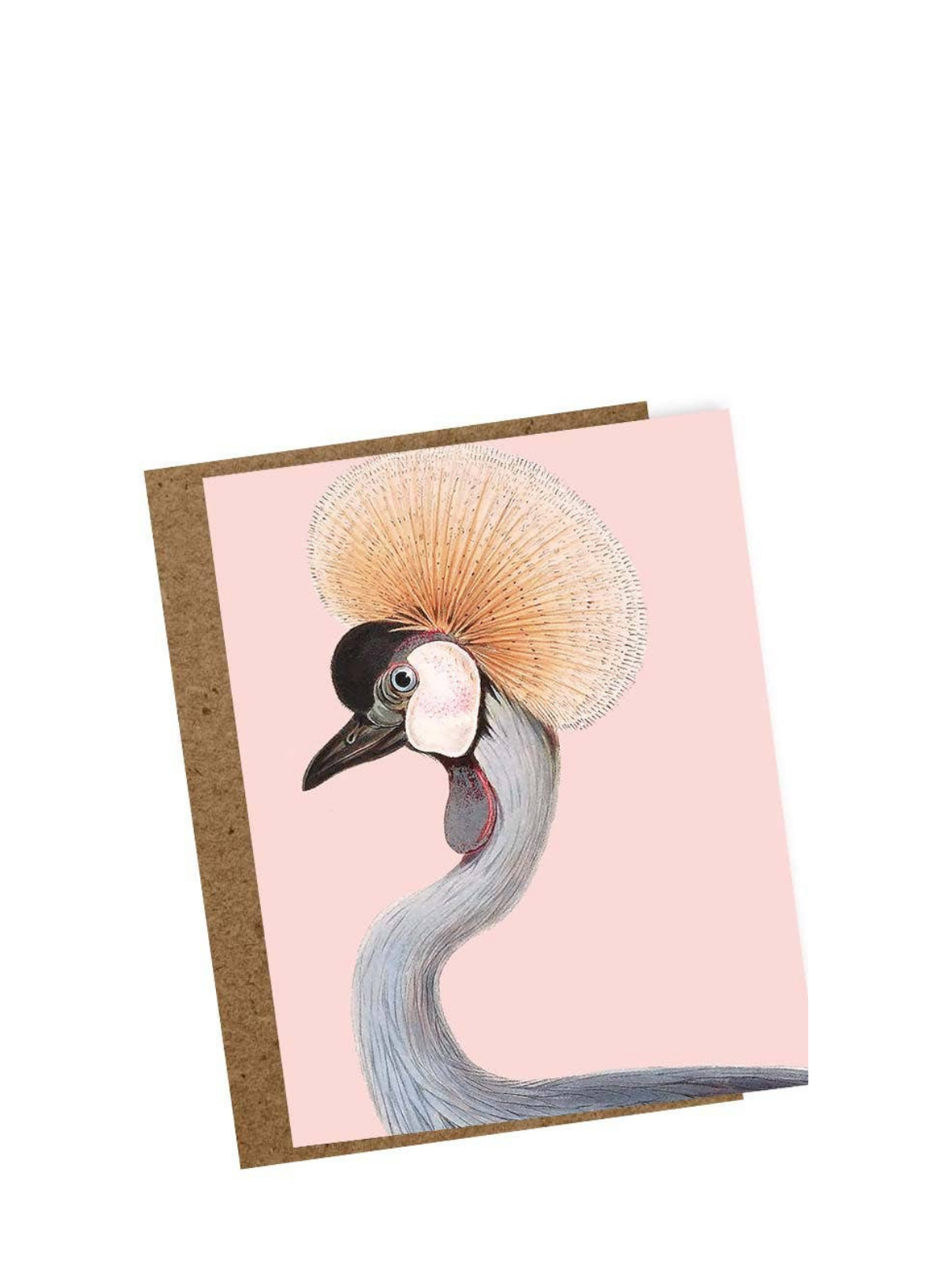 30x40 Margarita Mini Card