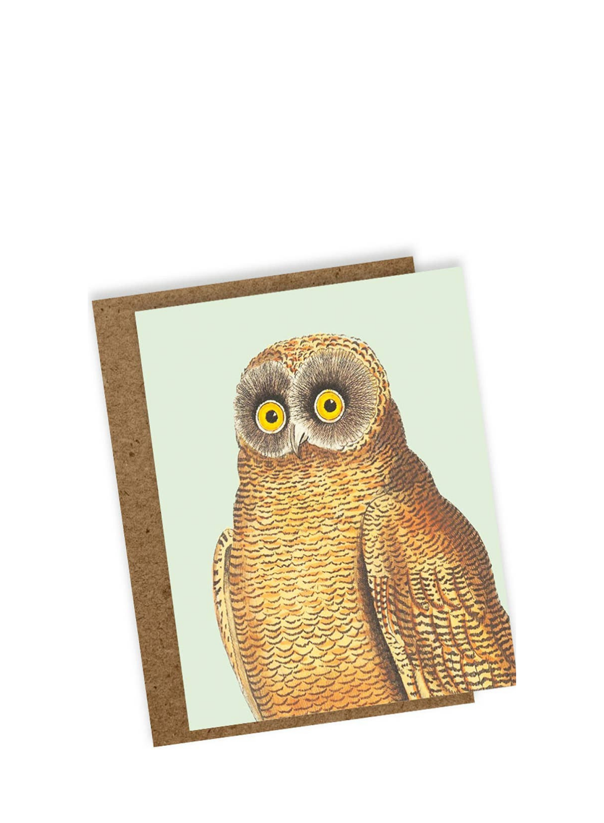 30x40 Mellow Owl Mini Card