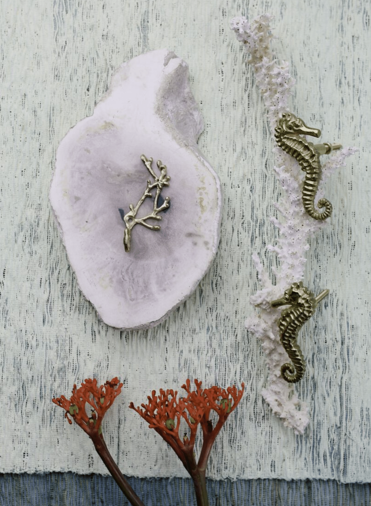 Pippa Seahorse Knob from Doing Goods