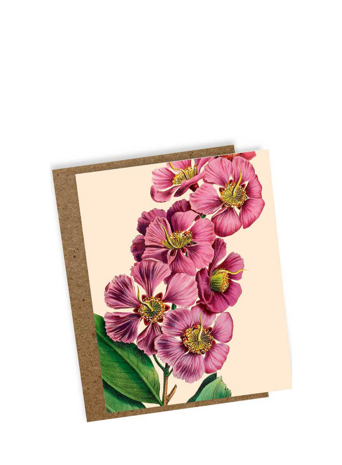 30x40 Prelude Mini Card