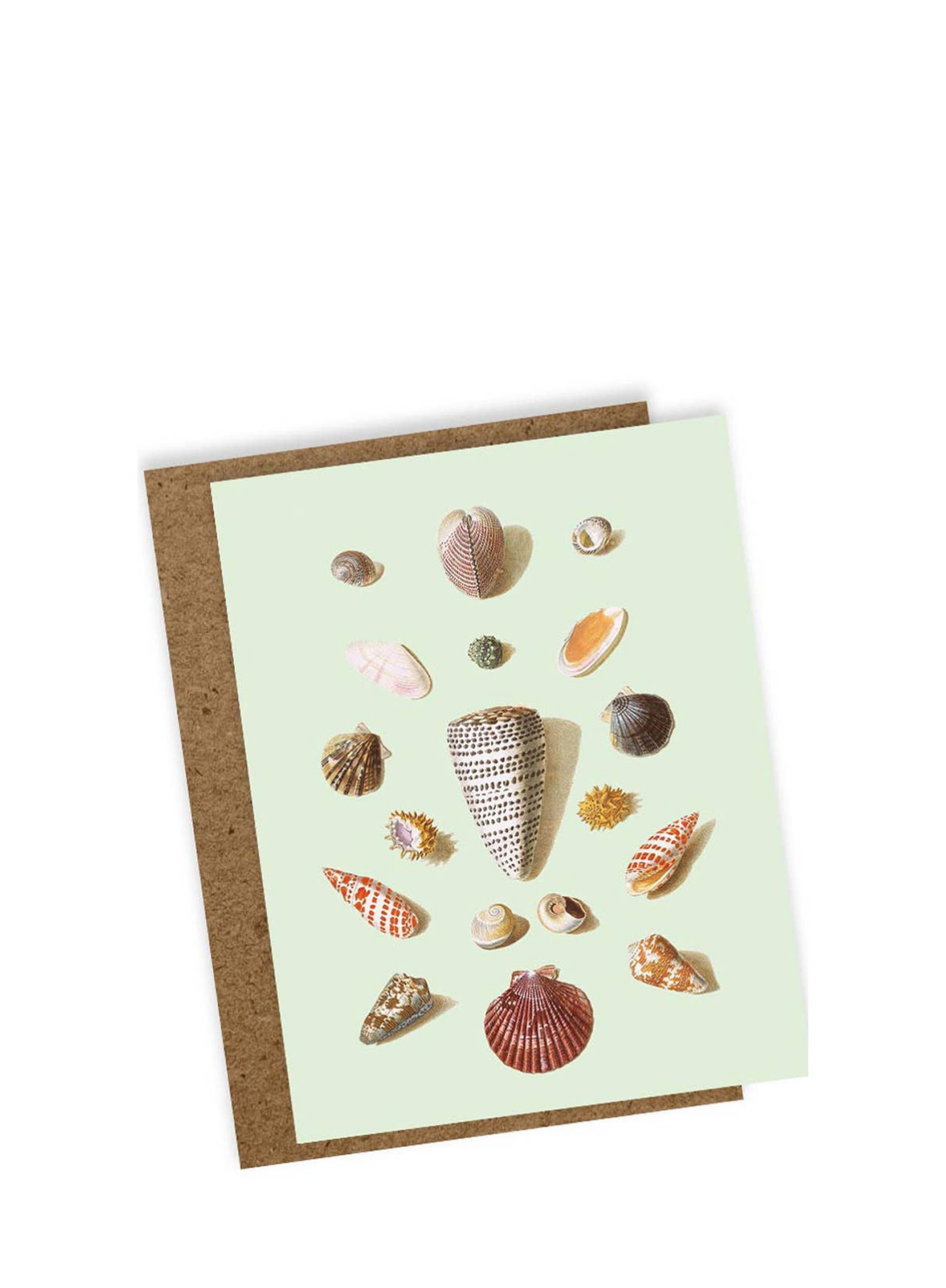 30x40 Splendour Mini Card