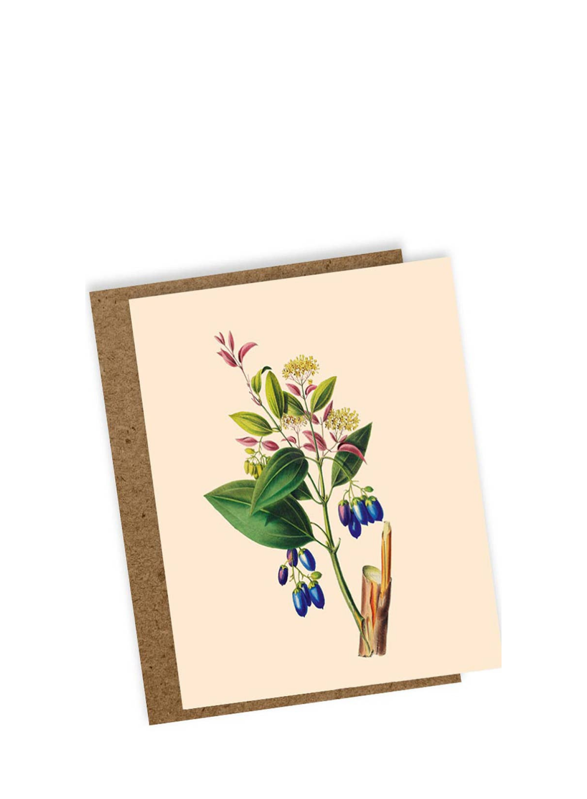 30x40 Swing Mini Card