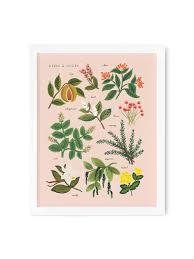 Herbs & Spices Print from Rifle Paper Co.