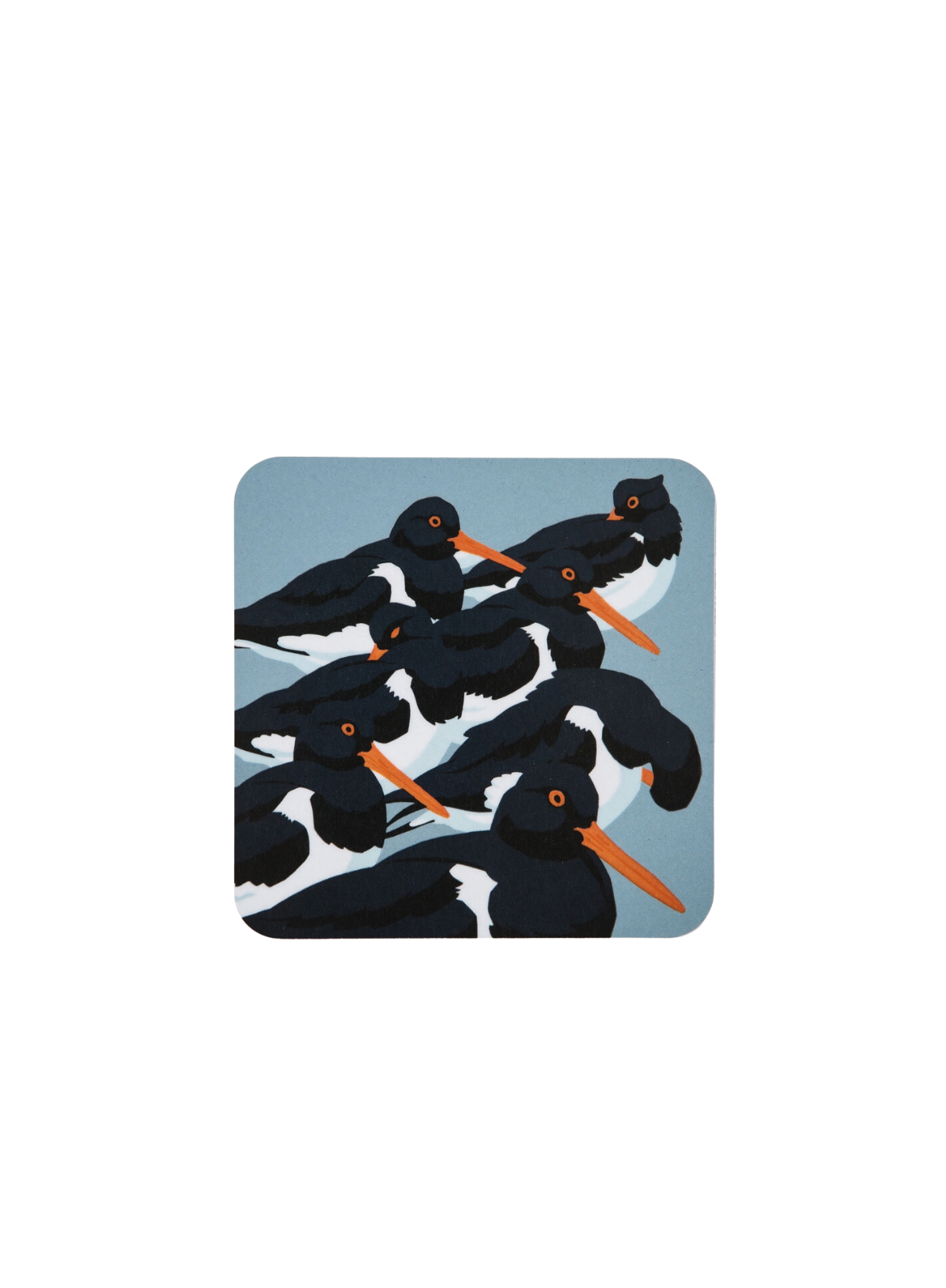 Oyster catchers Coaster from Red Hare Publishing