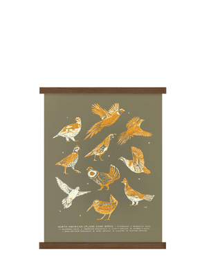 Upland Game Birds Guide Print from The Wild Wander